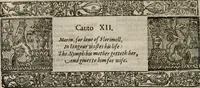 Picture 102 of 159 from The faerie queene : disposed into XII bookes, fashioning twelue morall vertues (1609), leaf 247