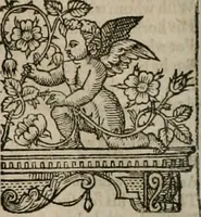 Picture 109 of 159 from The faerie queene : disposed into XII bookes, fashioning twelue morall vertues (1609), leaf 265