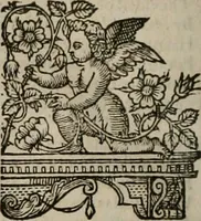 Picture 117 of 159 from The faerie queene : disposed into XII bookes, fashioning twelue morall vertues (1609), leaf 279