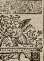 Picture 18 of 159 from The faerie queene : disposed into XII bookes, fashioning twelue morall vertues (1609), leaf 30