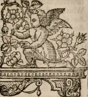 Picture 127 of 159 from The faerie queene : disposed into XII bookes, fashioning twelue morall vertues (1609), leaf 302