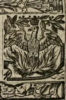 An illustration from The faerie queene : disposed into XII bookes, fashioning twelue morall vertues (1609)