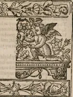 Picture 135 of 159 from The faerie queene : disposed into XII bookes, fashioning twelue morall vertues (1609), leaf 316