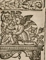Picture 141 of 159 from The faerie queene : disposed into XII bookes, fashioning twelue morall vertues (1609), leaf 328