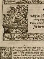 Picture 143 of 159 from The faerie queene : disposed into XII bookes, fashioning twelue morall vertues (1609), leaf 332