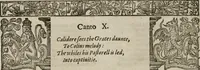 Picture 147 of 159 from The faerie queene : disposed into XII bookes, fashioning twelue morall vertues (1609), leaf 345