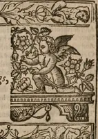 An illustration from The faerie queene : disposed into XII bookes, fashioning twelue morall vertues (1609)
