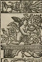 An illustration from The faerie queene : disposed into XII bookes, fashioning twelue morall vertues (1609)