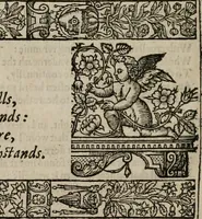 An illustration from The faerie queene : disposed into XII bookes, fashioning twelue morall vertues (1609)