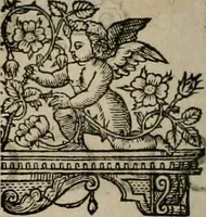 Picture 32 of 159 from The faerie queene : disposed into XII bookes, fashioning twelue morall vertues (1609), leaf 65