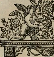 Picture 39 of 159 from The faerie queene : disposed into XII bookes, fashioning twelue morall vertues (1609), leaf 83
