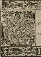Picture 41 of 159 from The faerie queene : disposed into XII bookes, fashioning twelue morall vertues (1609), leaf 87