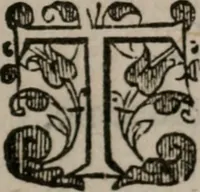 An illustration from The faerie queene : Disposed into twelue bookes, fashioning XII. morall vertues (1596)