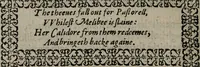 An illustration from The faerie queene : Disposed into twelue bookes, fashioning XII. morall vertues (1596)