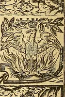 An illustration from The faerie qveene, disposed into XII. bookes, : fashioning twelue morall vertues (1609)