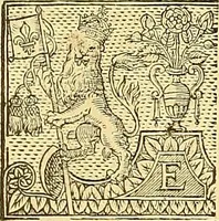 An illustration from The faerie qveene, disposed into XII. bookes, : fashioning twelue morall vertues (1609)