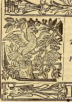 An illustration from The faerie qveene, disposed into XII. bookes, : fashioning twelue morall vertues (1609)