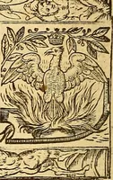 An illustration from The faerie qveene, disposed into XII. bookes, : fashioning twelue morall vertues (1609)