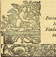 An illustration from The faerie qveene, disposed into XII. bookes, : fashioning twelue morall vertues (1609)