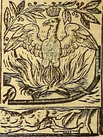 An illustration from The faerie qveene, disposed into XII. bookes, : fashioning twelue morall vertues (1609)