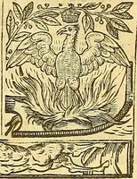 An illustration from The faerie qveene, disposed into XII. bookes, : fashioning twelue morall vertues (1609)