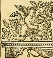 Picture 90 of 150 from The faerie qveene, disposed into XII. bookes, : fashioning twelue morall vertues (1609), leaf 222