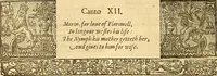 Picture 100 of 150 from The faerie qveene, disposed into XII. bookes, : fashioning twelue morall vertues (1609), leaf 251