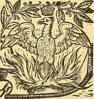 An illustration from The faerie qveene, disposed into XII. bookes, : fashioning twelue morall vertues (1609)
