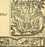 An illustration from The faerie qveene, disposed into XII. bookes, : fashioning twelue morall vertues (1609)