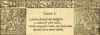 Picture 126 of 150 from The faerie qveene, disposed into XII. bookes, : fashioning twelue morall vertues (1609), leaf 311