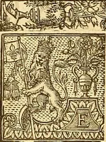 Picture 127 of 150 from The faerie qveene, disposed into XII. bookes, : fashioning twelue morall vertues (1609), leaf 311