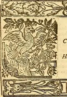 An illustration from The faerie qveene, disposed into XII. bookes, : fashioning twelue morall vertues (1609)