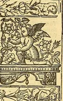 An illustration from The faerie qveene, disposed into XII. bookes, : fashioning twelue morall vertues (1609)