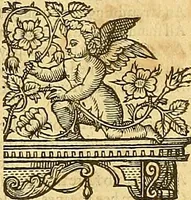 Picture 17 of 150 from The faerie qveene, disposed into XII. bookes, : fashioning twelue morall vertues (1609), leaf 34