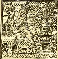 An illustration from The faerie qveene, disposed into XII. bookes, : fashioning twelue morall vertues (1609)