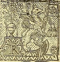 An illustration from The faerie qveene, disposed into XII. bookes, : fashioning twelue morall vertues (1609)