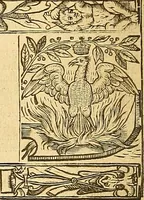 An illustration from The faerie qveene, disposed into XII. bookes, : fashioning twelue morall vertues (1609)