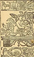An illustration from The faerie qveene, disposed into XII. bookes, : fashioning twelue morall vertues (1609)