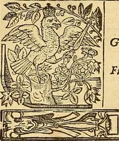 Picture 39 of 150 from The faerie qveene, disposed into XII. bookes, : fashioning twelue morall vertues (1609), leaf 91