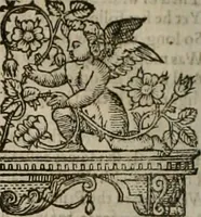 Picture 61 of 245 from The faerie qveen : The shepheards calendar : together with the other works of England's arch-poët (1611), leaf 153