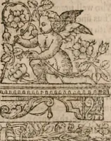 Picture 70 of 245 from The faerie qveen : The shepheards calendar : together with the other works of England's arch-poët (1611), leaf 178