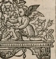 Picture 11 of 245 from The faerie qveen : The shepheards calendar : together with the other works of England's arch-poët (1611), leaf 22