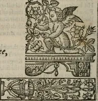 An illustration from The faerie qveen : The shepheards calendar : together with the other works of England's arch-poët (1611)