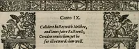 Picture 138 of 245 from The faerie qveen : The shepheards calendar : together with the other works of England's arch-poët (1611), leaf 343