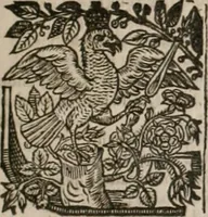 Picture 18 of 245 from The faerie qveen : The shepheards calendar : together with the other works of England's arch-poët (1611), leaf 36