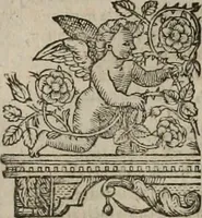 An illustration from The faerie qveen : The shepheards calendar : together with the other works of England's arch-poët (1611)