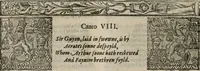 Picture 45 of 245 from The faerie qveen : The shepheards calendar : together with the other works of England's arch-poët (1611), leaf 99