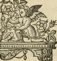 Picture 57 of 243 from The faerie qveen : The shepheards calendar : together with the other works of England's arch-poët (1611), leaf 114