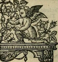 An illustration from The faerie qveen : The shepheards calendar : together with the other works of England's arch-poët (1611)