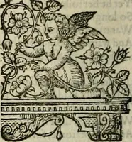 Picture 72 of 243 from The faerie qveen : The shepheards calendar : together with the other works of England's arch-poët (1611), leaf 163